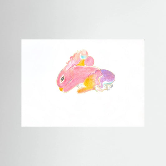 Rainbow print